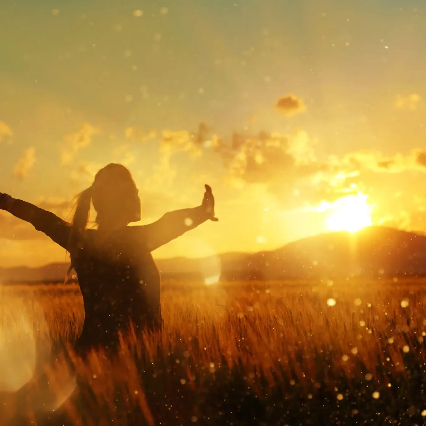 Silhouette of person in field at sunset.